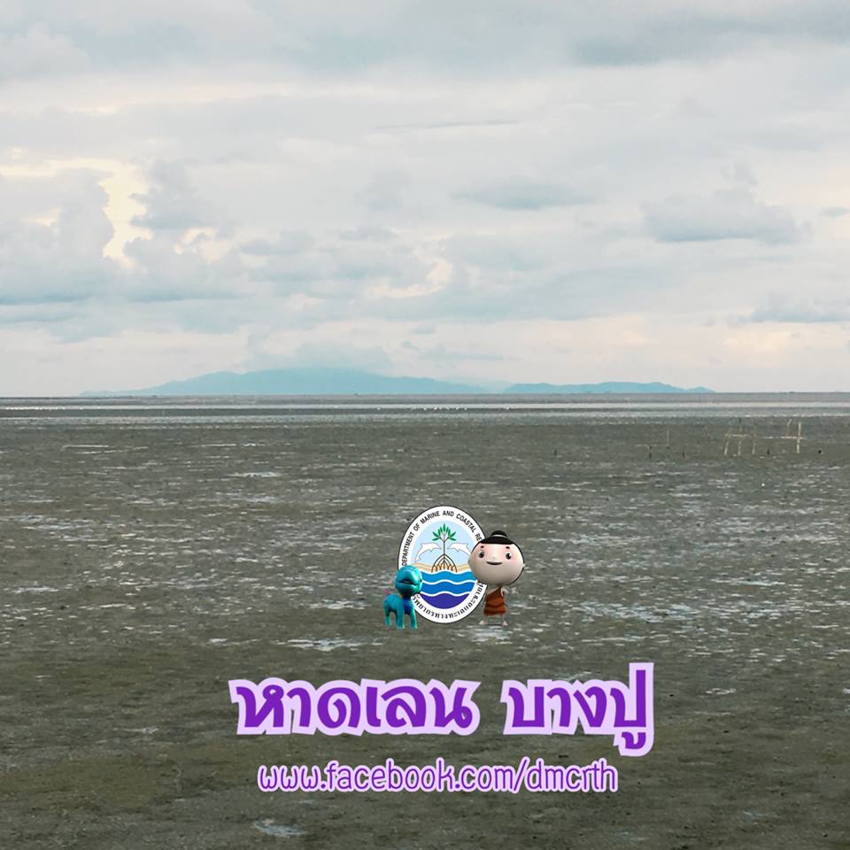สวัสดี พี่น้องเครือข่ายรักษ์ทะเลไทย