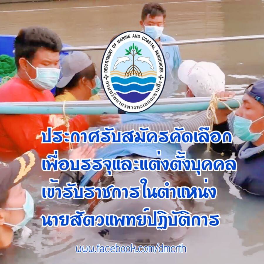 รับสมัคร เพิ่มทีมสัตวแพทย์ประจำทะเลตะวันออก