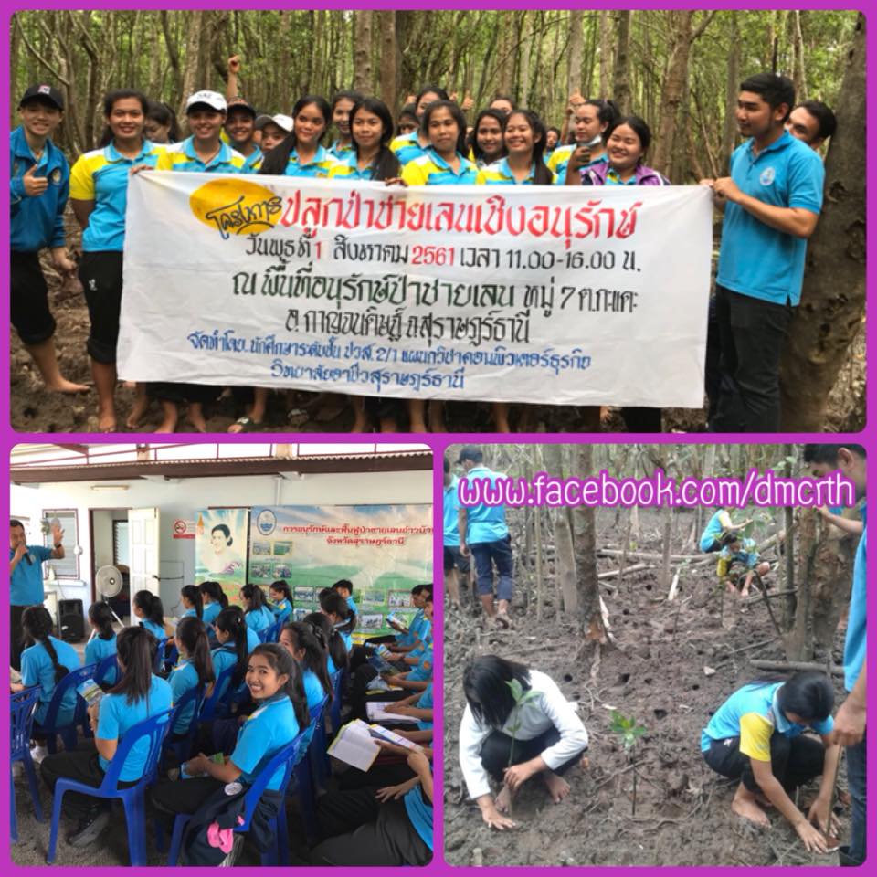รวมใจอาชีวะสุราษฎร์ฯ ปลูกป่าชายเลน ฟื้นฟู ทช.