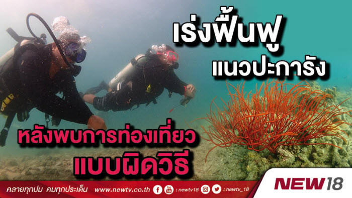 เร่งฟื้นฟูแนวปะการัง หลังพบการท่องเที่ยวแบบผิดวิธี