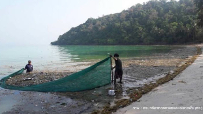 “แพขยะ” ลอยเกลื่อนหาดเกาะทะลุ ห่วงกระทบปะการัง