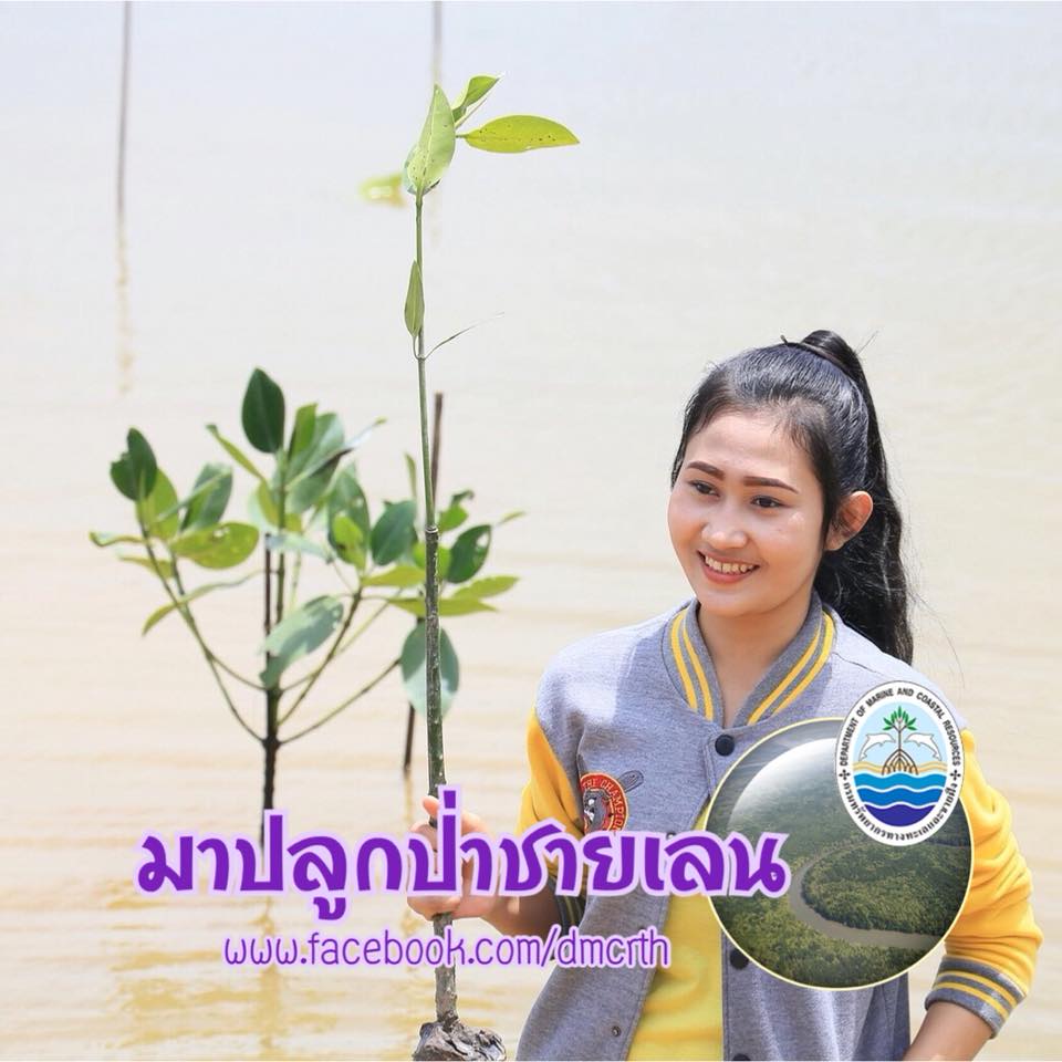 สวัสดี พี่น้องเครือข่ายรักษ์ทะเลไทย