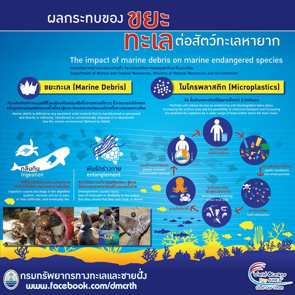 ผลกระทบจากขยะทะเลต่อสัตว์ทะเลหายาก