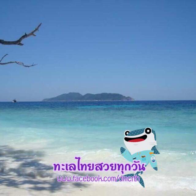 สวัสดี พี่น้องเครือข่ายรักษ์ทะเลไทย