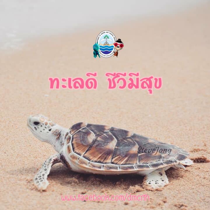 สวัสดี พี่น้องเครือข่ายรักษ์ทะเลไทย