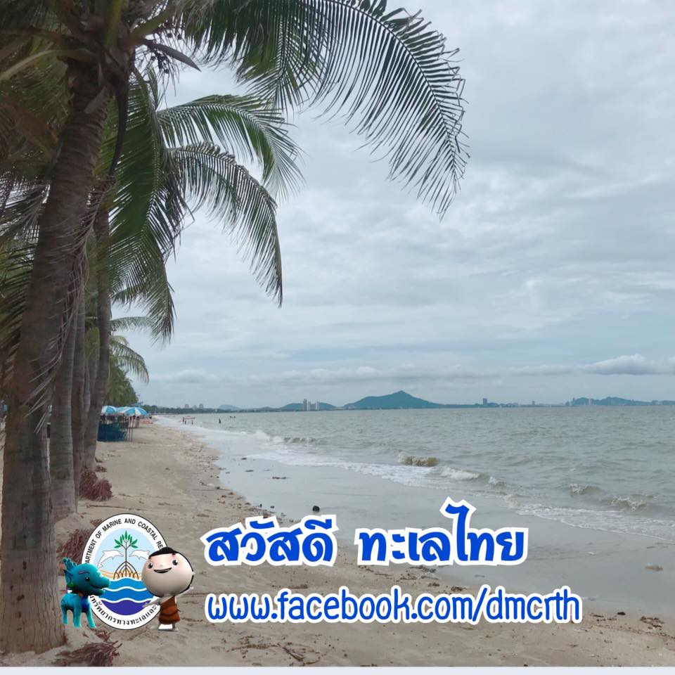 สวัสดี พี่น้องเครือข่ายรักษ์ทะเลไทย