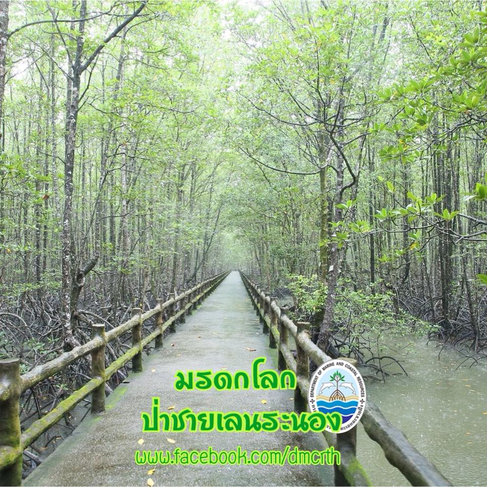 สวัสดี พี่น้องเครือข่ายรักษ์ทะเลไทย
