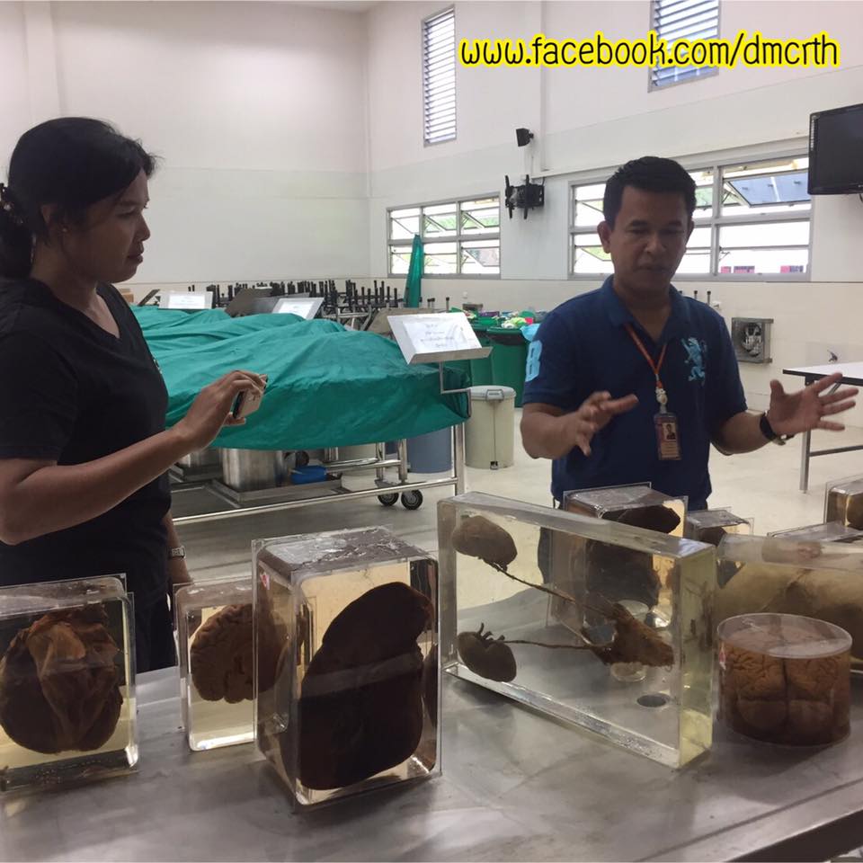 เพิ่มศักยภาพเจ้าหน้าที่ ทช. ศึกษาการทำตัวอย่างดอง