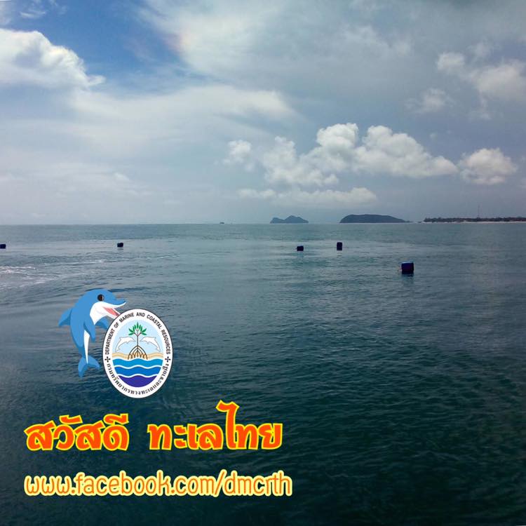 สวัสดี พี่น้องเครือข่ายรักษ์ทะเลไทย