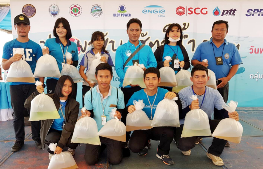 ทช.จัดกิจกรรมปล่อยพันธุ์สัตว์น้ำเพิ่มสมดุลธรรมชาติทางทะเล