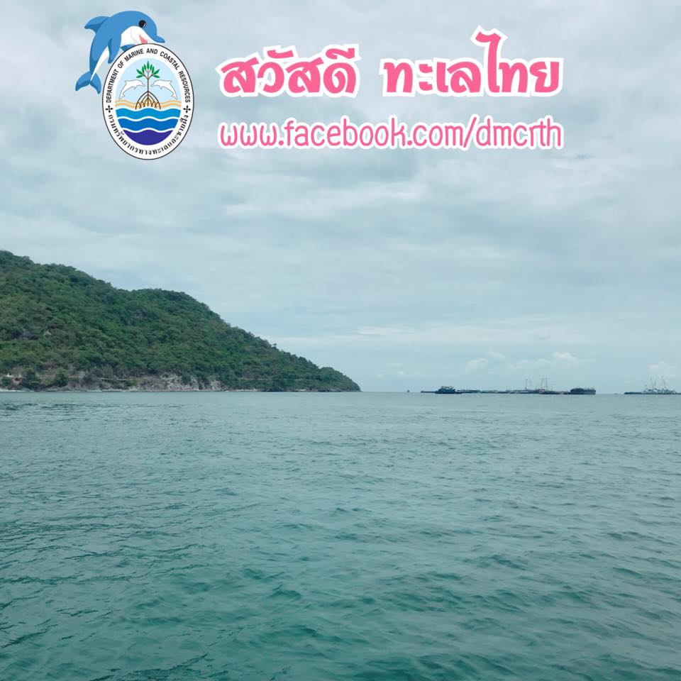 สวัสดี พี่น้องเครือข่ายรักษ์ทะเลไทย