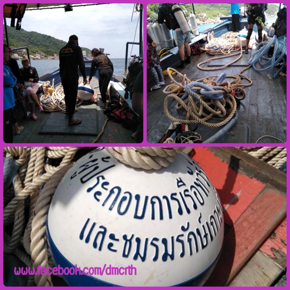ผูกทุ่นจอดเรืออ่าวม่วง ทะเลสุราษฎร์ธานี