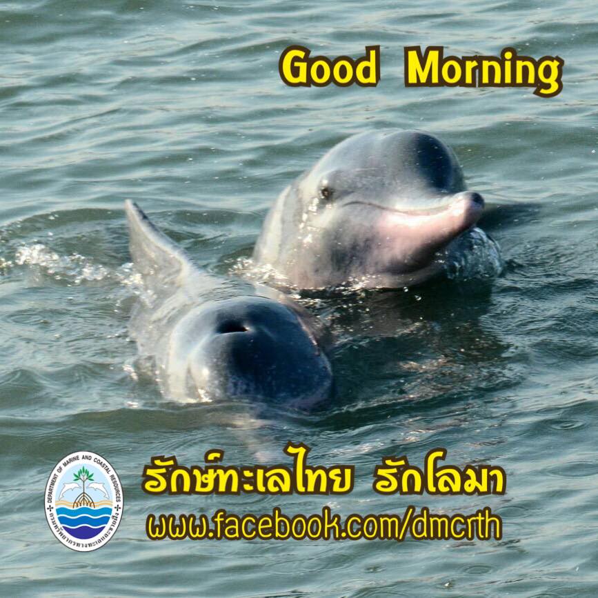 สวัสดี พี่น้องเครือข่ายรักษ์ทะเลไทย
