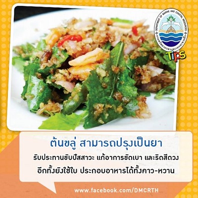 ต้นขลู่
