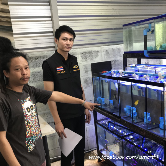 ตรวจสอบข้อร้องเรียน พบร้านค้าปลาถูกต้องตามกฎหมาย