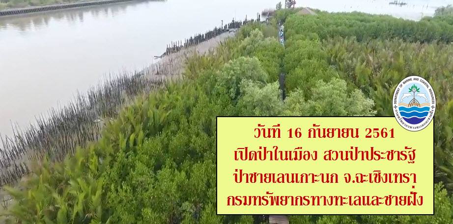 งานเปิดสวนป่าประชารัฐ ป่าในเมืองเกาะธรรมชาติป่าชายเลน ฉะเชิงเทรา