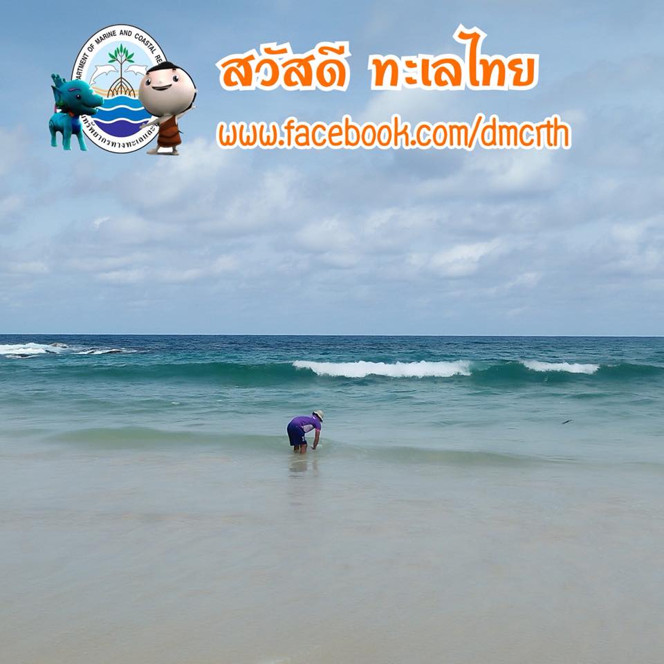 สวัสดี พี่น้องเครือข่ายรักษ์ทะเลไทย