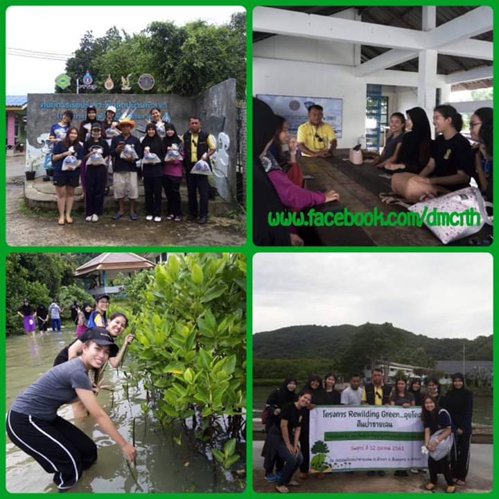 Rewilding Green ลุยโคลนคืนป่าชายเลนสงขลา