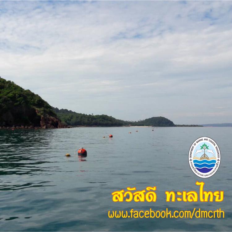 สวัสดี พี่น้องเครือข่ายรักษ์ทะเลไทย