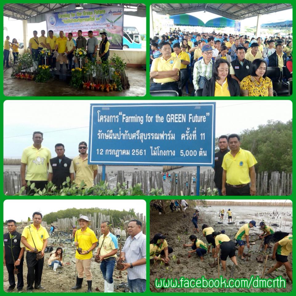 รักผืนป่า กับศรีสุบรรณ เมืองคนดี ถวายเป็นพระราชกุศล