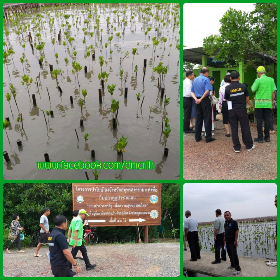ทช. รับผู้ว่าฯ สมุทรสงคราม ตรวจงานฟื้นฟูชายฝั่ง