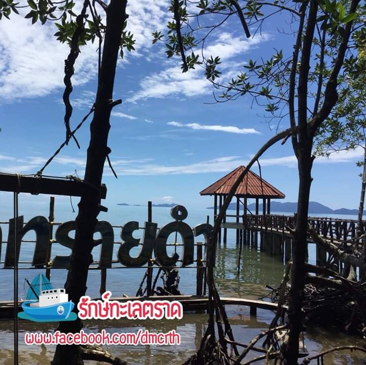 สวัสดี พี่น้องเครือข่ายรักษ์ทะเลไทย