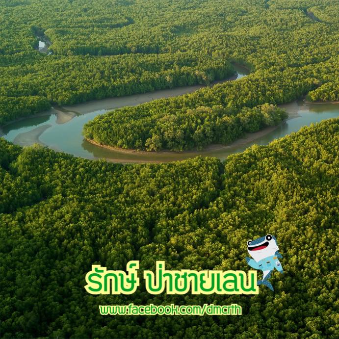 สวัสดี พี่น้องเครือข่ายรักษ์ทะเลไทย