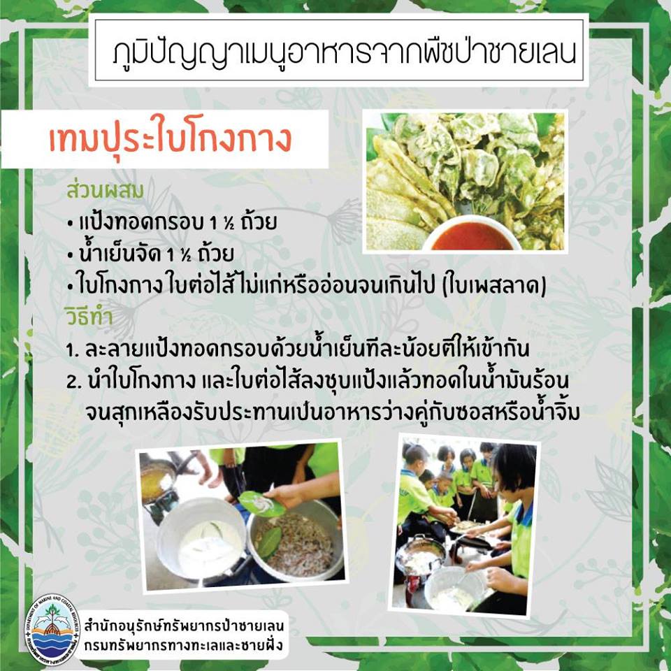 อร่อยเด็ด ภูมิปัญญาเมนูอาหารจากพืชป่าชายเลน