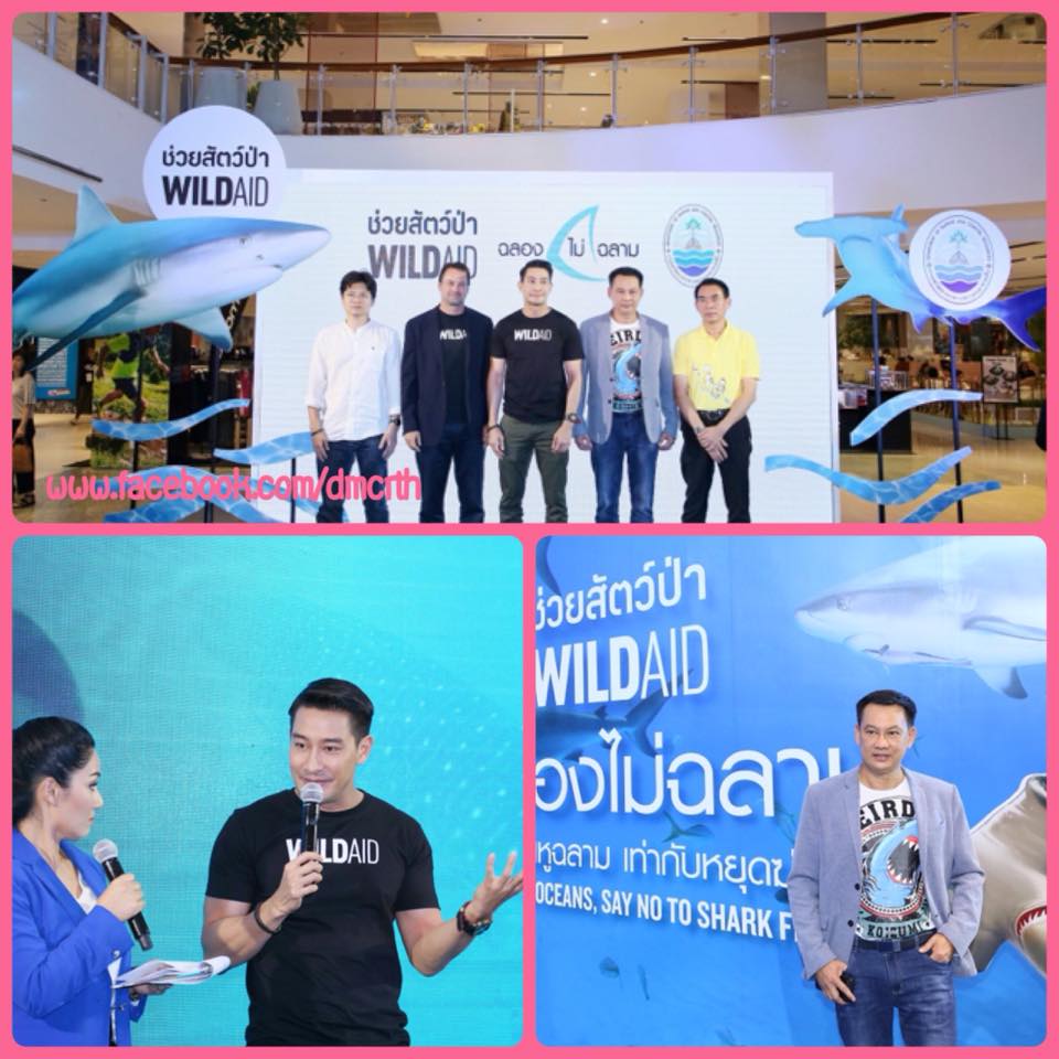 ฉลองไม่ฉลาม คนไทยเลิกบริโภคเมนูปลาฉลาม