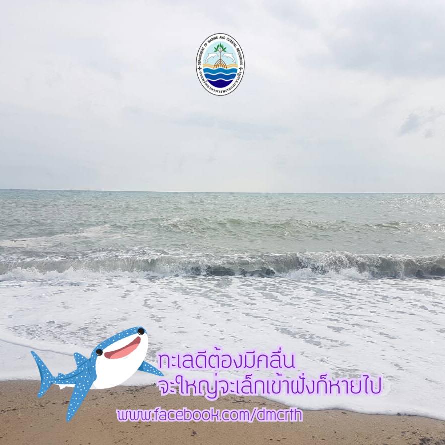 สวัสดี พี่น้องเครือข่ายรักษ์ทะเลไทย