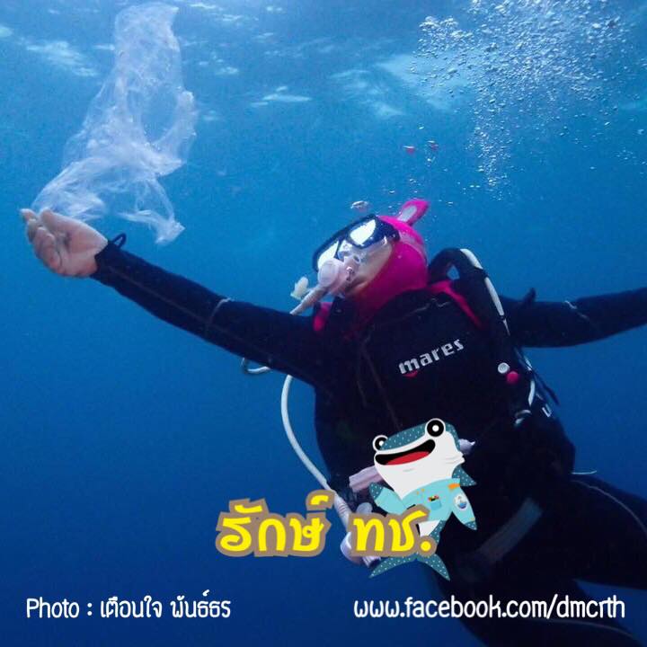 สวัสดี พี่น้องเครือข่ายรักษ์ทะเลไทย