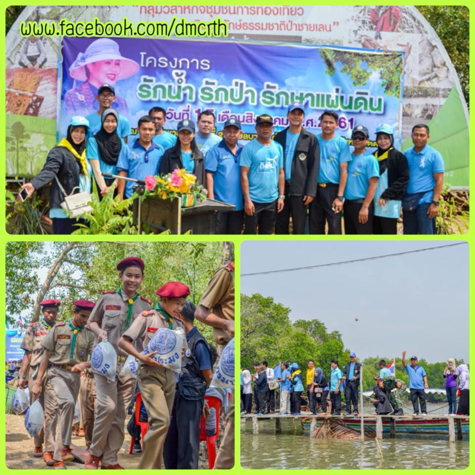 ชาวปัตตานีพร้อมใจ ฟื้นฟูระบบนิเวศป่าสะพานไม้บานา