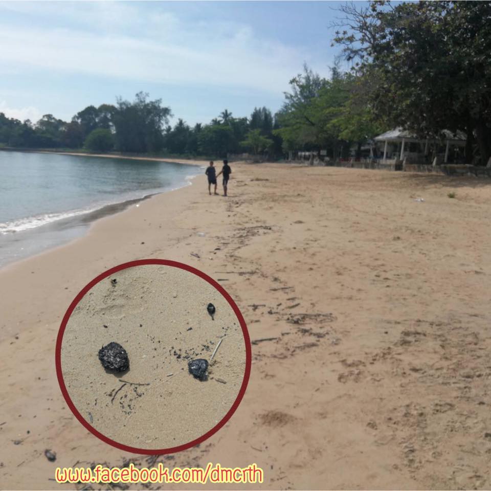 รับแจ้งพบก้อนน้ำมันและแมงกะพรุนพิษ ชายฝั่งสิชล