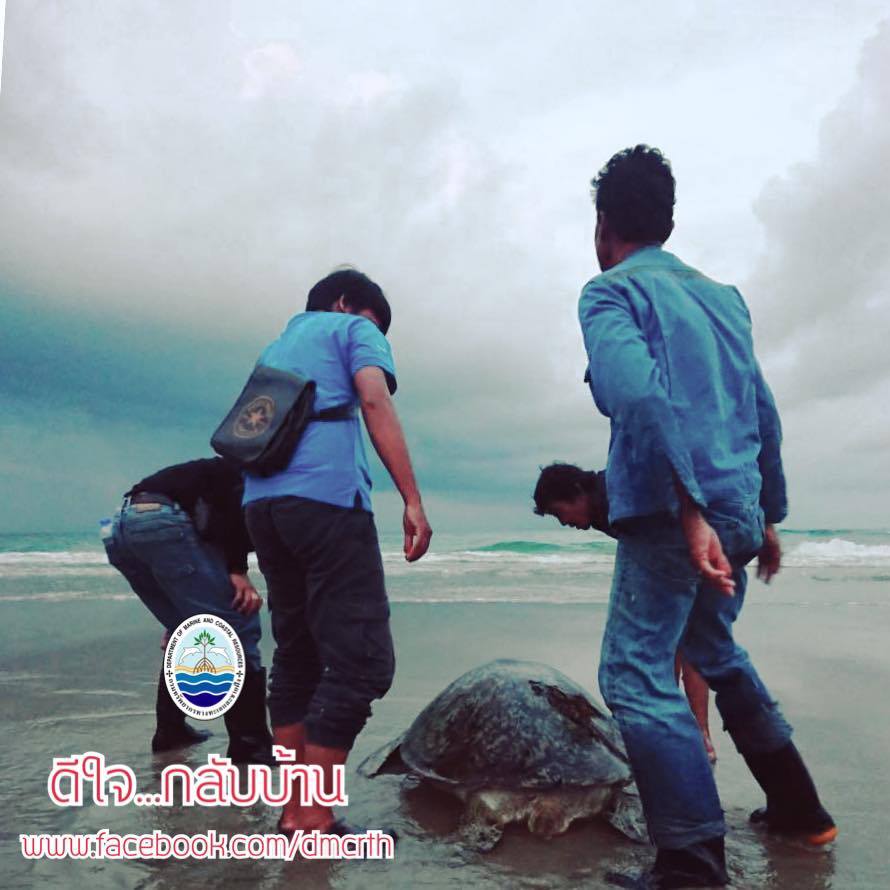 สวัสดี พี่น้องเครือข่ายรักษ์ทะเลไทย