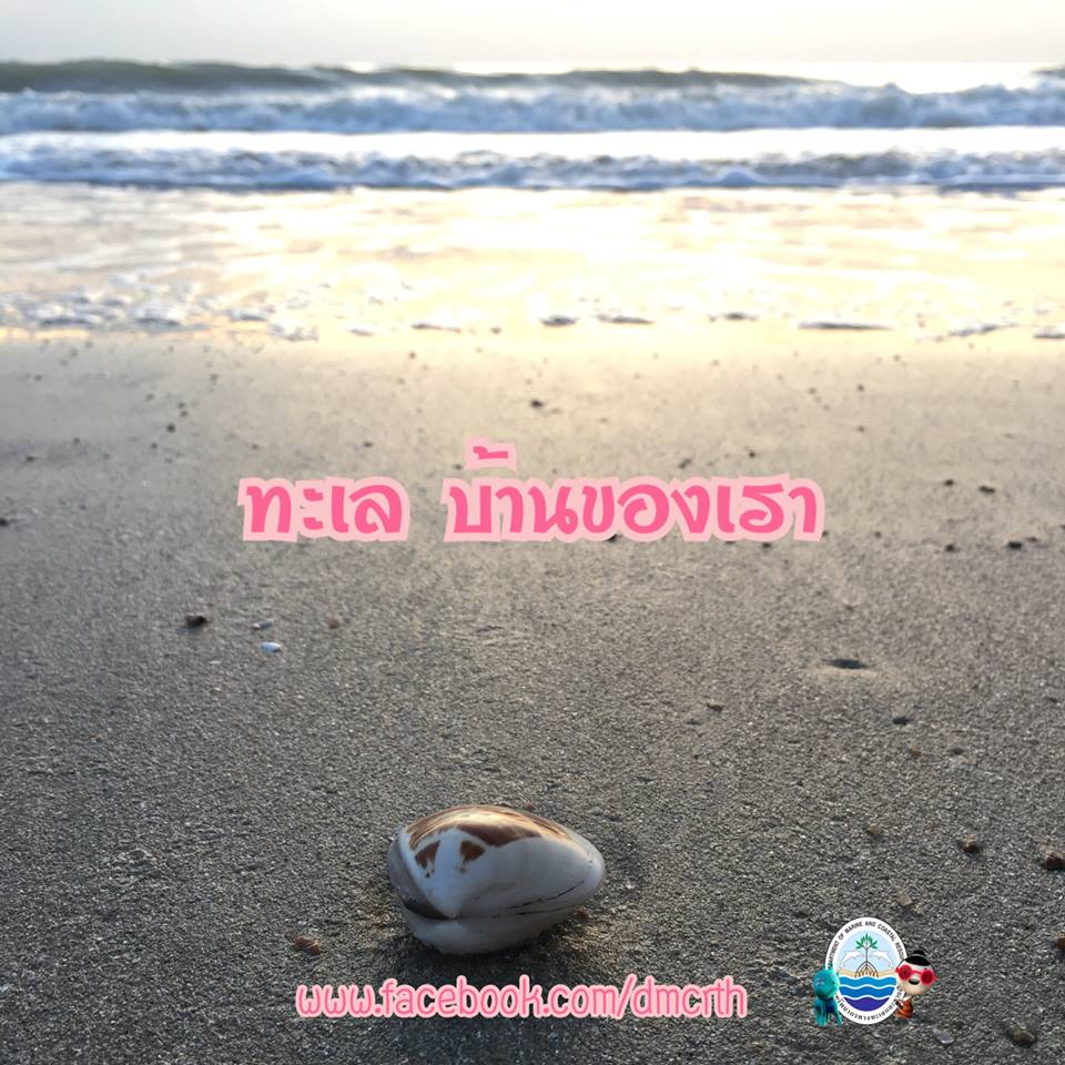 สวัสดี พี่น้องเครือข่ายรักษ์ทะเลไทย