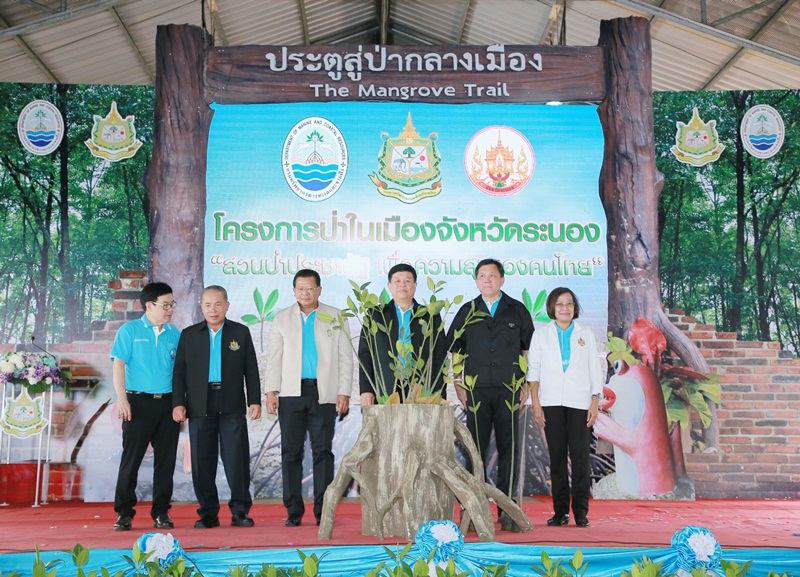 ทช.เปิดป่าชายเลนในเมืองเพิ่มความสุขให้คนระนอง