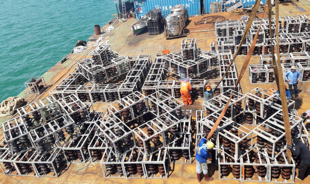 สบทช.7 ร่วมฟื้นฟูทรัพยากรทางทะเลด้วยปะการังเทียมจากลูกถ้วยฉนวนไฟฟ้า