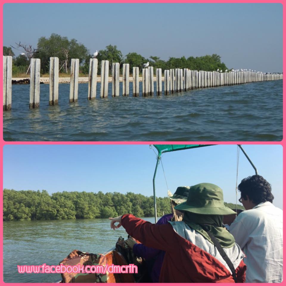 เร่งสำรวจแนวชายฝั่งแม่กลอง ติดตามการกัดเซาะ