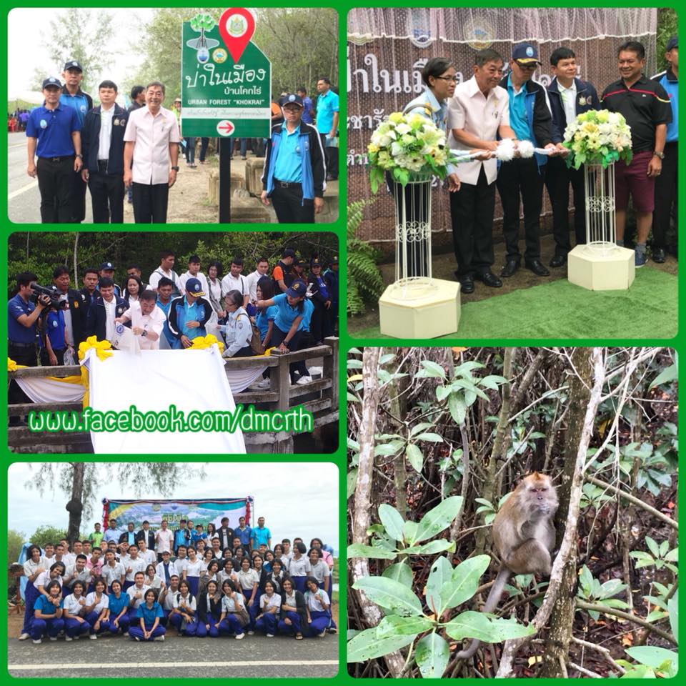 ป่าในเมืองบ้านโคกไร่ ชายฝั่งสงขลาเปิดแล้ววันนี้