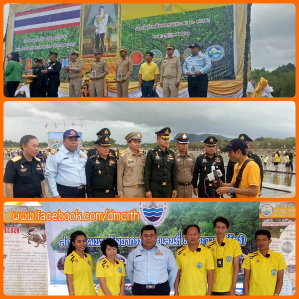 ทช. ร่วมปลูกป่าเมืองประจวบฯ ถวายในหลวง ร.๑๐