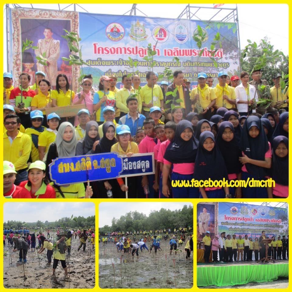 พี่น้องสตูลรวมใจ ปลูกป่าเลนถวายในหลวง ร.๑๐