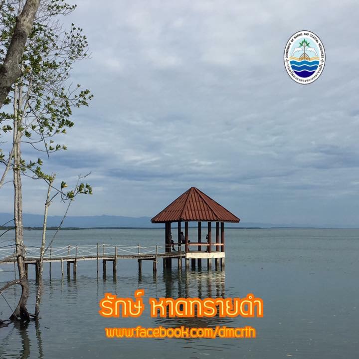 สวัสดี พี่น้องเครือข่ายรักษ์ทะเลไทย
