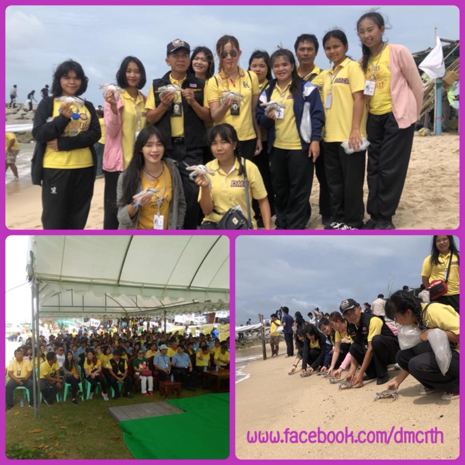 ฟื้นฟูทรัพยากรทางทะเลและชายฝั่งเมืองระยอง