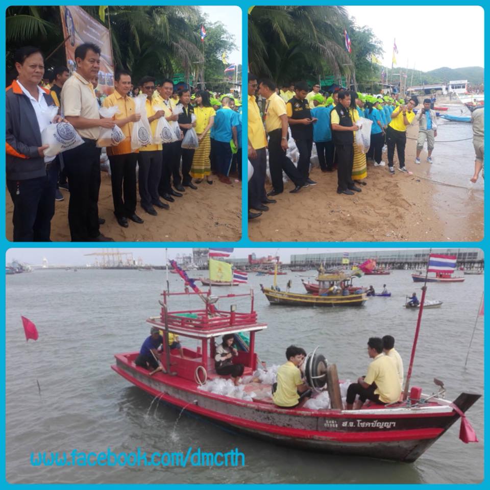 ปล่อยกุ้งฟื้นฟูทรัพยากรชายฝั่งทุ่งสุขลา ชลบุรี