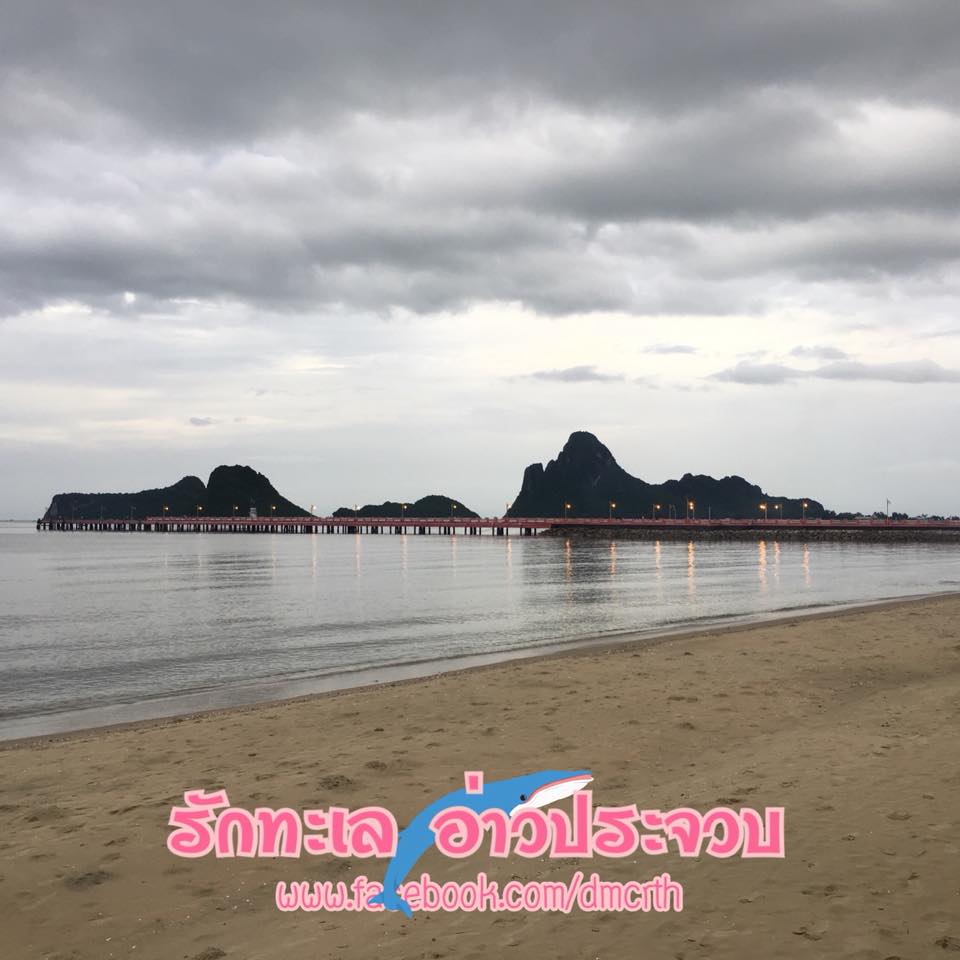 สวัสดี พี่น้องเครือข่ายรักษ์ทะเลไทย