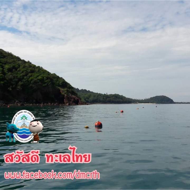 สวัสดี พี่น้องเครือข่ายรักษ์ทะเลไทย