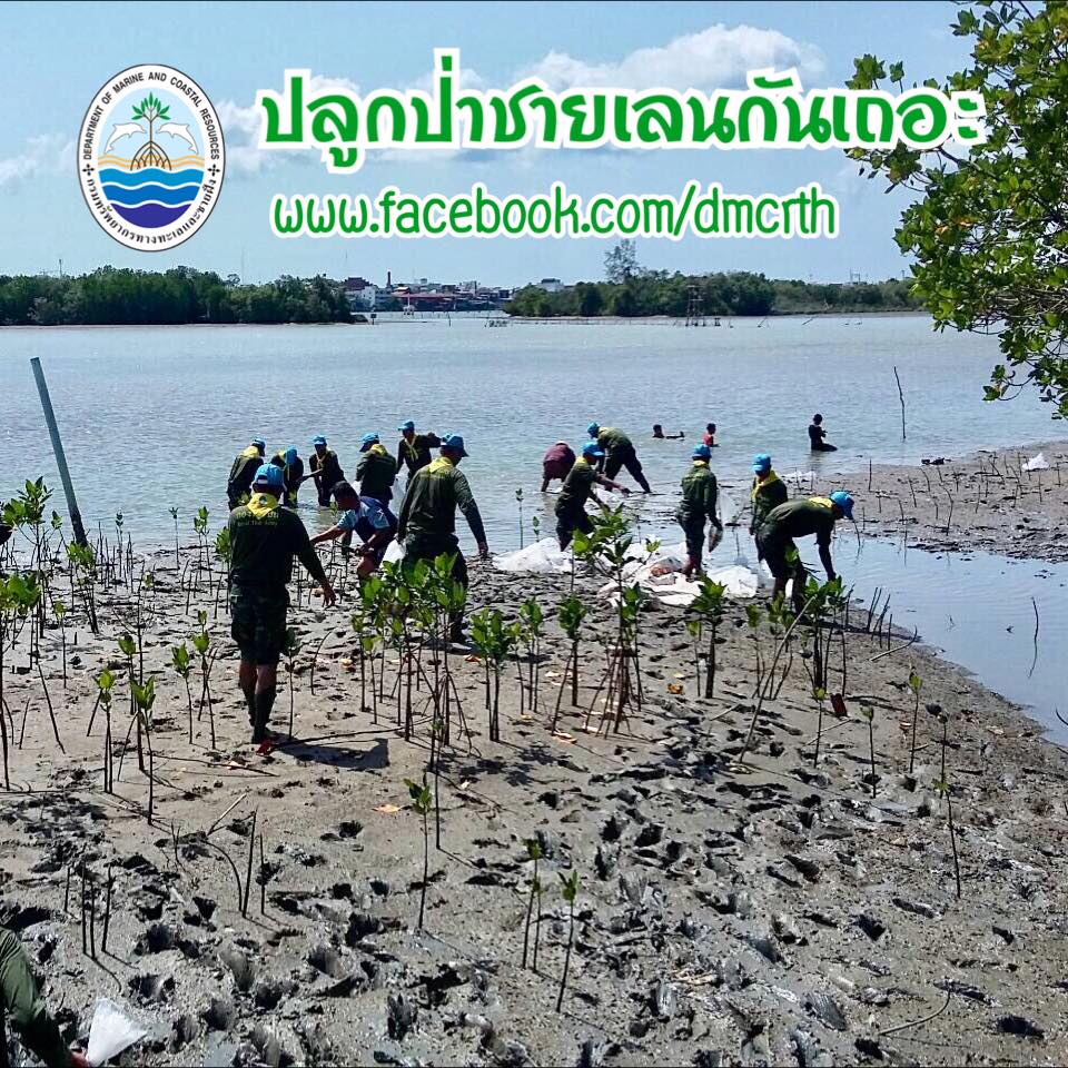 สวัสดี พี่น้องเครือข่ายรักษ์ทะเลไทย