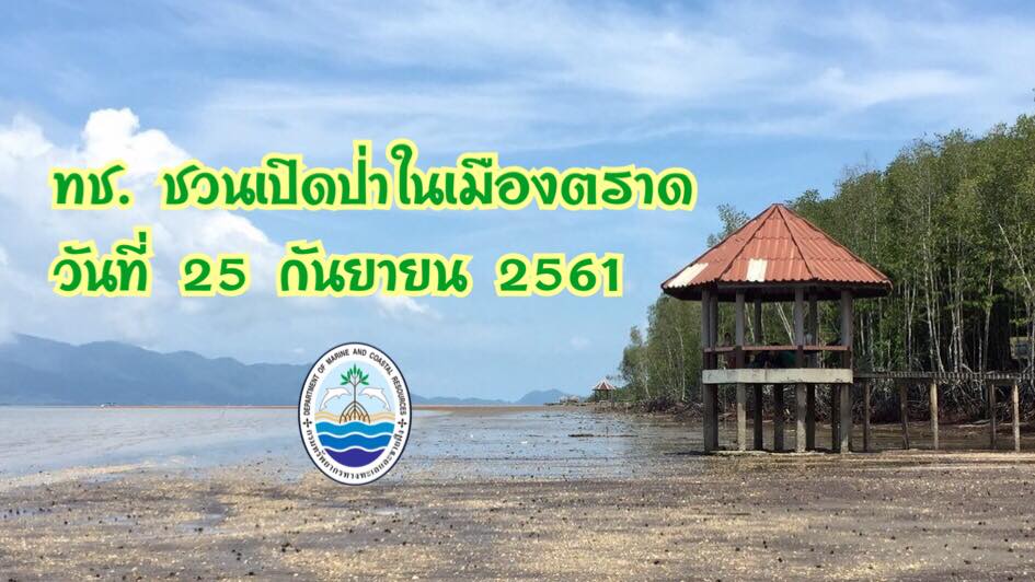 กรม ทช. ขอเชิญร่วมงานเปิดป่าในเมืองตราด