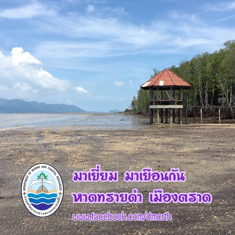 สวัสดี พี่น้องเครือข่ายรักษ์ทะเลไทย