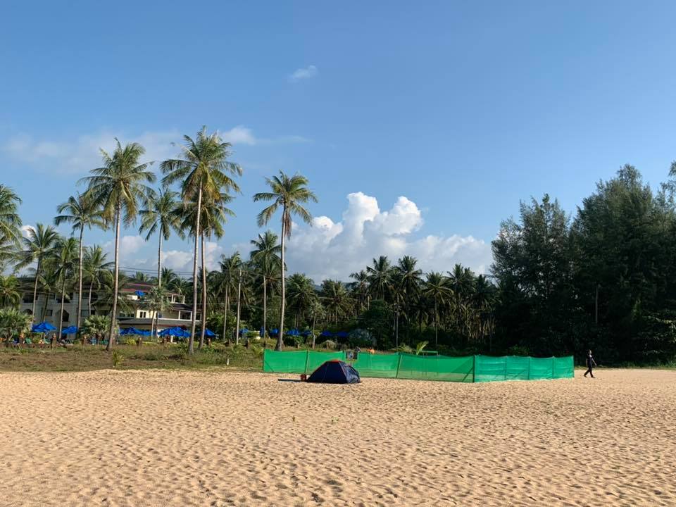 พาชมหาดคึกคัก จุดวางไข่เต่ามะเฟือง